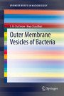 Outer Membrane Vesicles of Bacteria