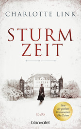 Sturmzeit - Roman